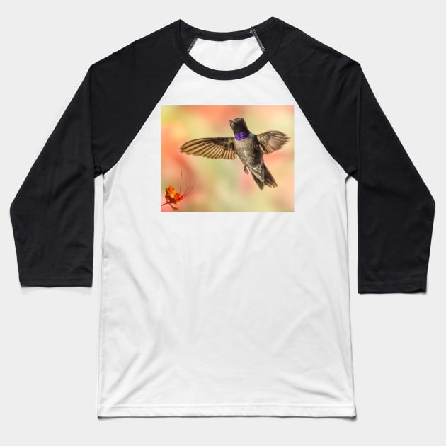 Black-chinned Hummingbird Baseball T-Shirt by MCHerdering